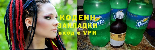 индика Краснослободск
