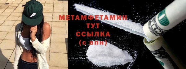 индика Краснослободск