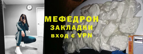 индика Краснослободск