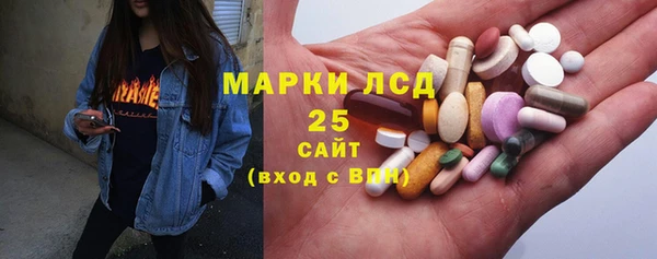 индика Краснослободск