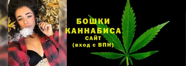 индика Краснослободск