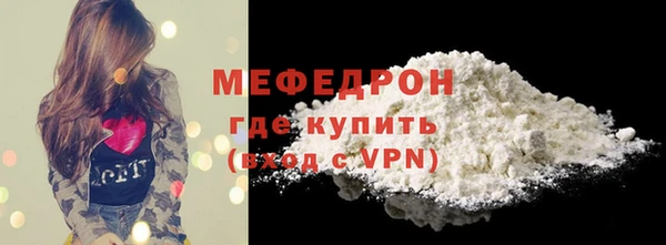 индика Краснослободск