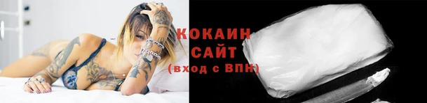 индика Краснослободск