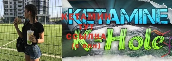 индика Краснослободск