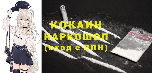 индика Краснослободск
