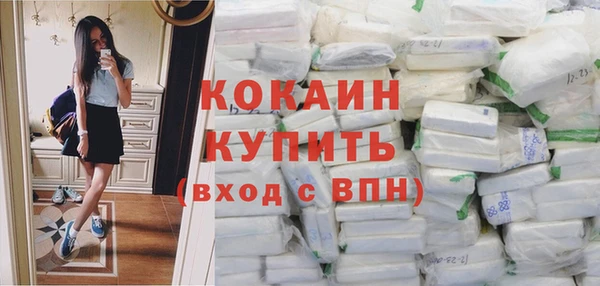 прущие крисы Корсаков