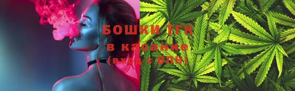 индика Краснослободск