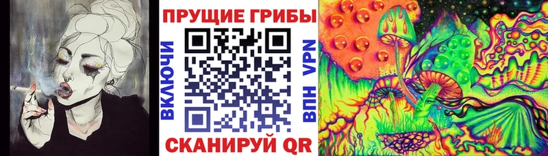 гидра онион Красноперекопск Псилоцибиновые грибы Psilocybine cubensis наркотики