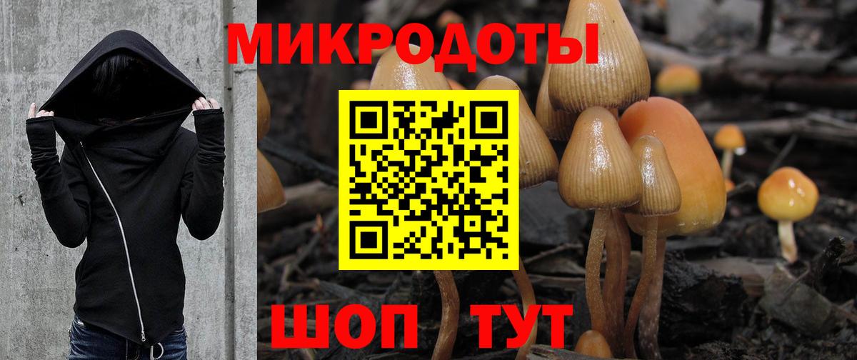купить наркотик  Галлюциногенные грибы MAGIC MUSHROOMS  Вход с VPN  Красноперекопск 